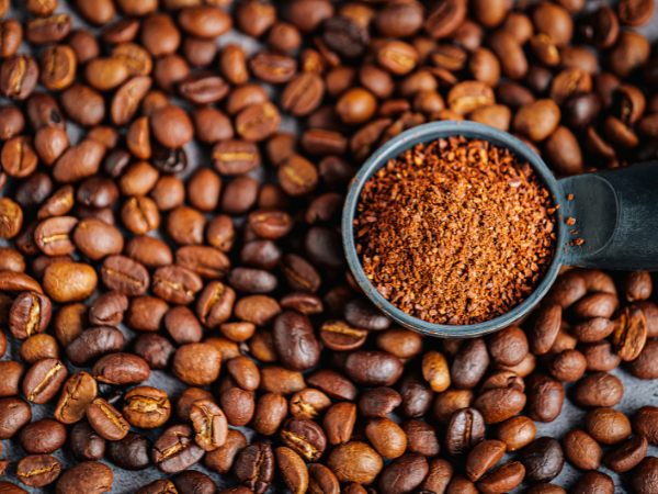 Best Coffee Beans for Filter Coffee