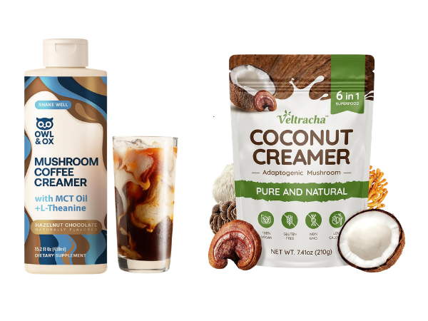 Best Mushroom Coffee Creamers in 2026