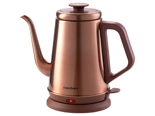 DMOFWHI Electric Kettle