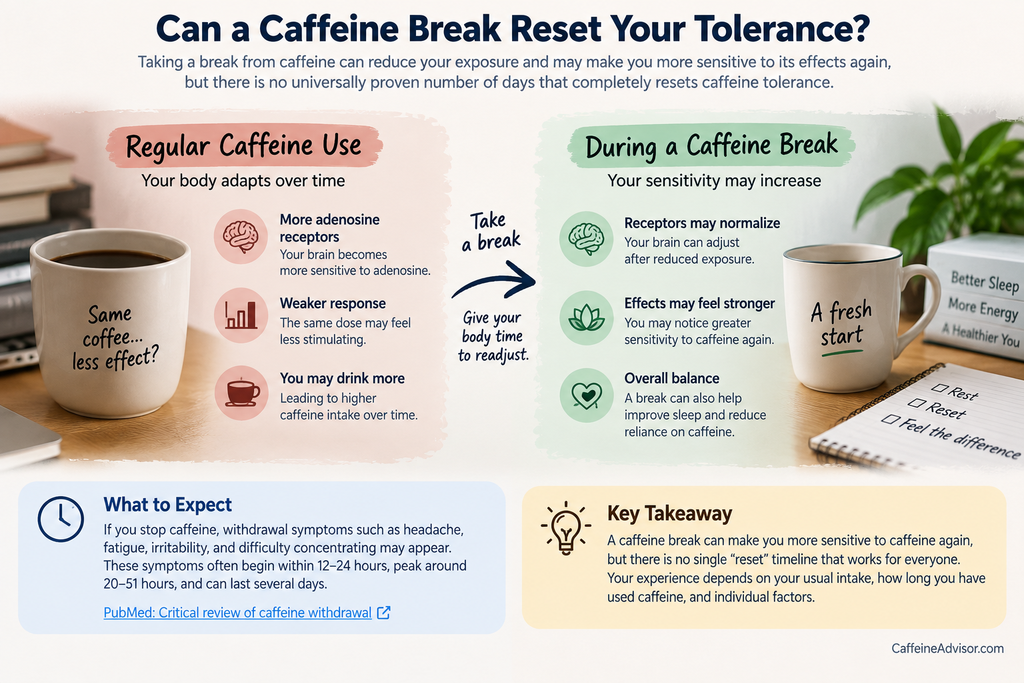 Can a Caffeine Break Reset Your Tolerance